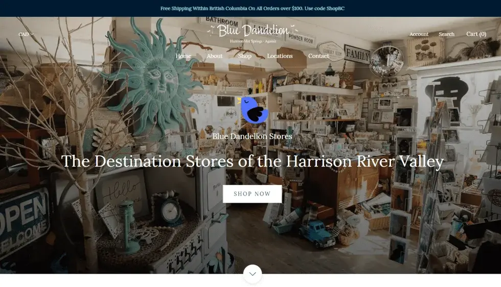 Blue Dandelion Stores project preview