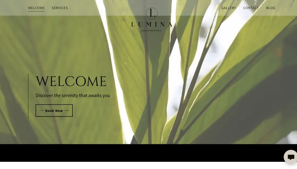 Lumina Aesthetics Studio project preview
