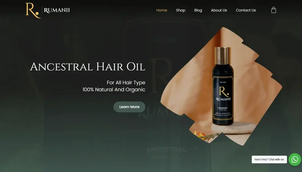 Rumanii project preview