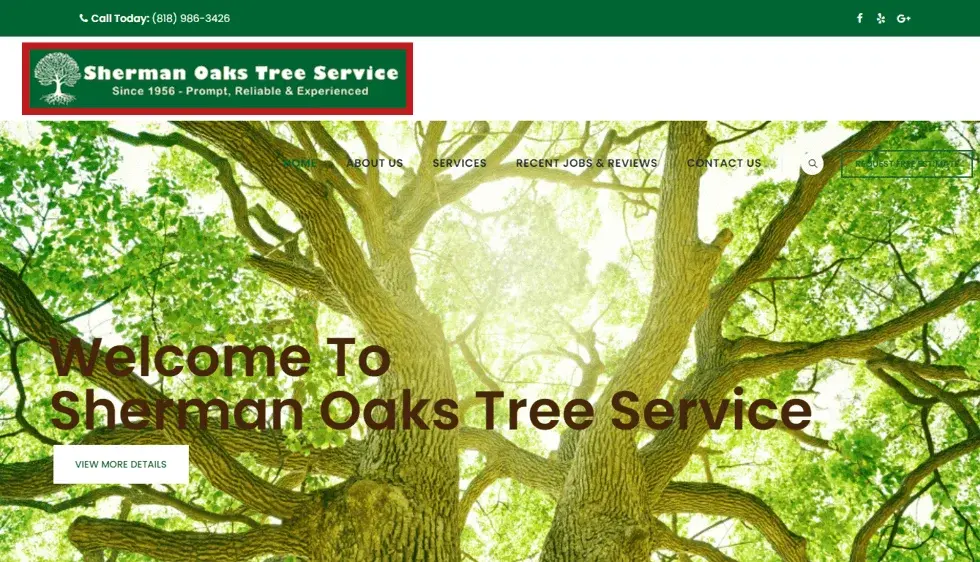 Sherman Oaks Tree Service project preview